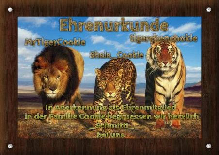  photo schmitti_zpsb59eeb9f.jpg