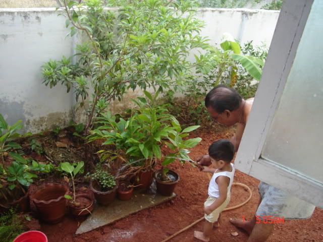 watering in the garden