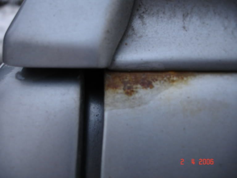 DSC01304.jpg