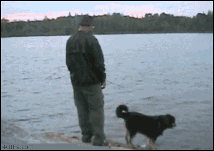 Fisherman_pushes_dog_lake.gif