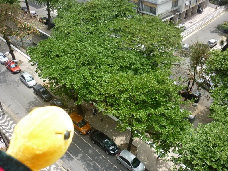 http://i28.photobucket.com/albums/c202/Saori_Tohru/P1030847.jpg