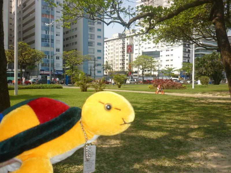 http://i28.photobucket.com/albums/c202/Saori_Tohru/Toy%20Voyagers/028-1.jpg