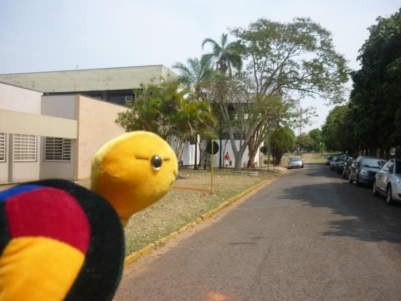 http://i28.photobucket.com/albums/c202/Saori_Tohru/Toy%20Voyagers/039.jpg