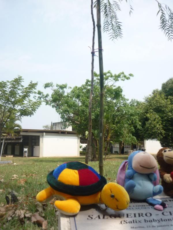http://i28.photobucket.com/albums/c202/Saori_Tohru/Toy%20Voyagers/058-1.jpg