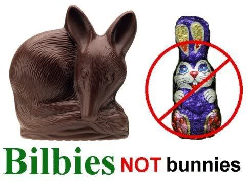bilbynotbunny