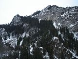 neuschwanstein,travel