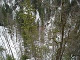 neuschwanstein,travel
