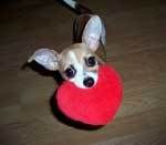 Photobucket - Video and Image Hosting