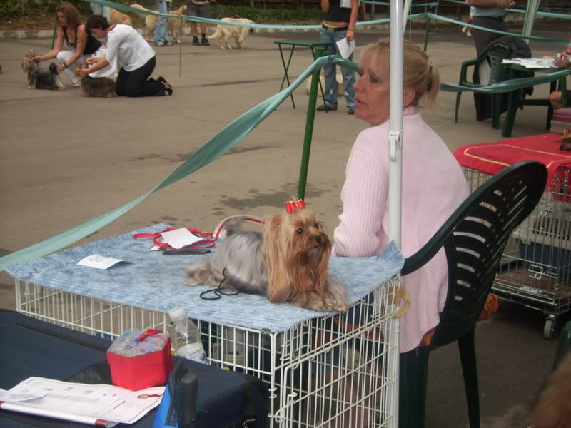Качена снимка
