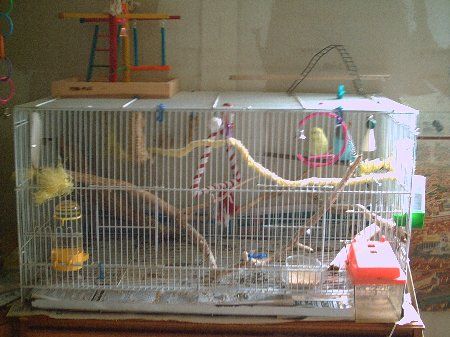PICT0009_450x337.jpg