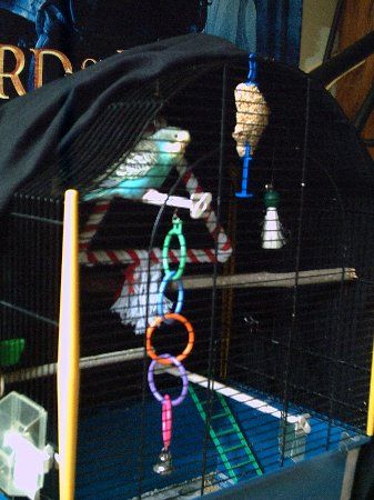 PICT0017_337x450.jpg