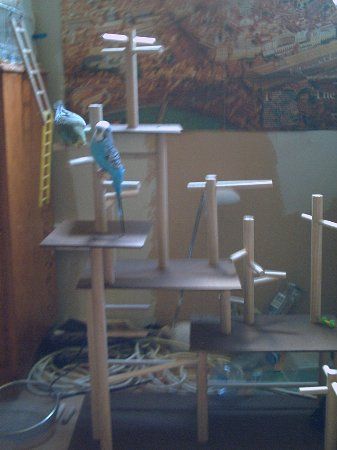 PICT0069_337x450.jpg