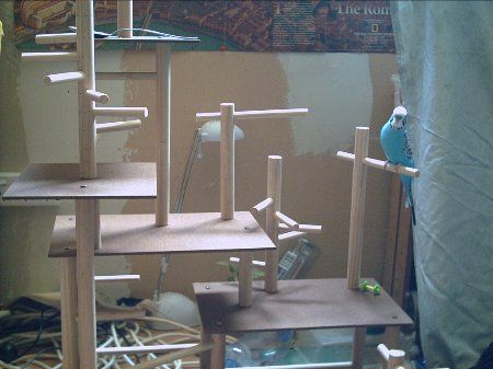 PICT0070_450x337.jpg