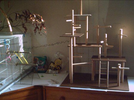 PICT0074_450x337.jpg