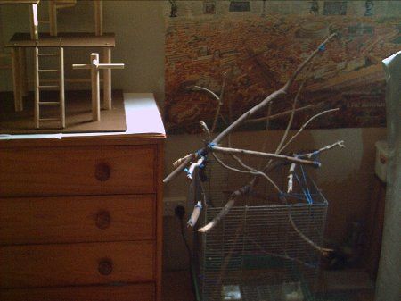 PICT0075_450x337.jpg