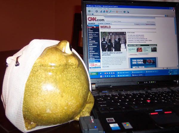 Don't die on me now toad!