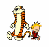 z113253625-1.gif