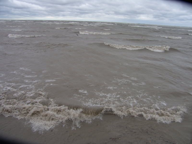 http://i28.photobucket.com/albums/c204/bobbyg1243/wind%20storm/SH100378.jpg