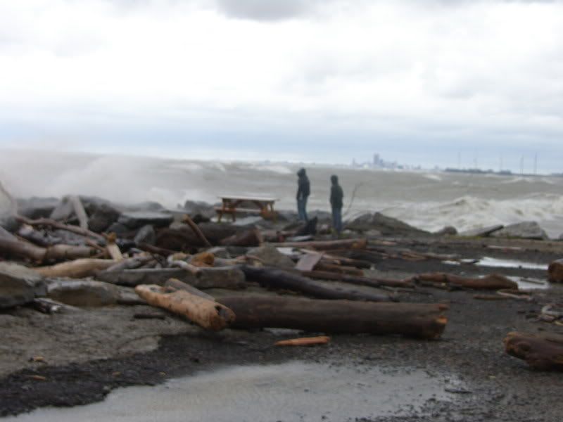 http://i28.photobucket.com/albums/c204/bobbyg1243/wind%20storm/SH100393.jpg