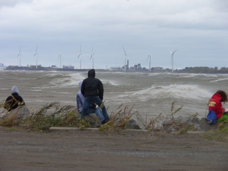 http://i28.photobucket.com/albums/c204/bobbyg1243/wind%20storm/SH100399.jpg