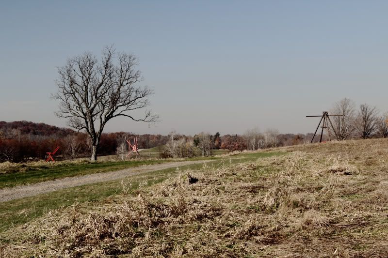 IMAGE: http://i28.photobucket.com/albums/c204/careysean/IMG_4355-2.jpg