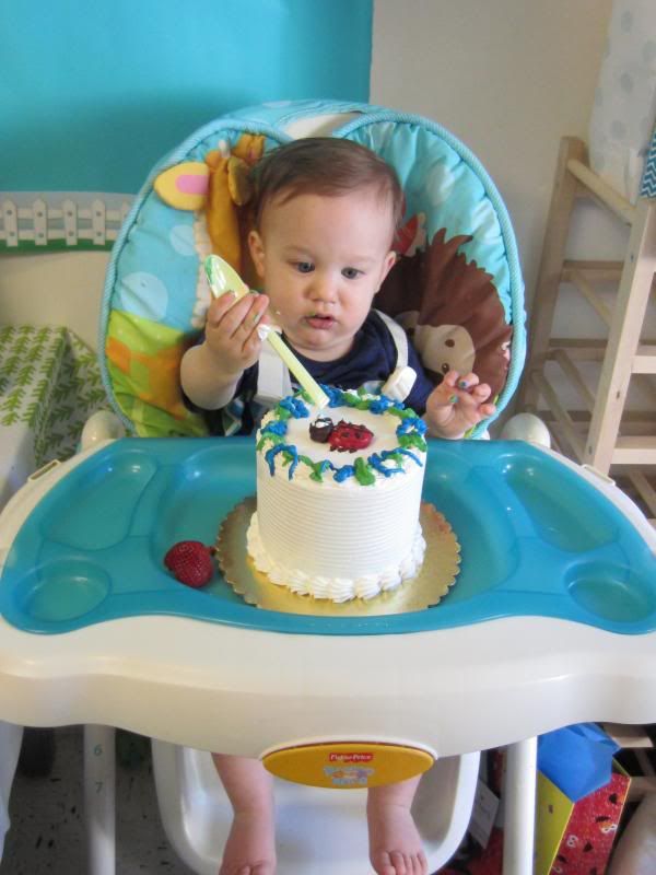photo IMG_4544_zpse7b5d2cd.jpg