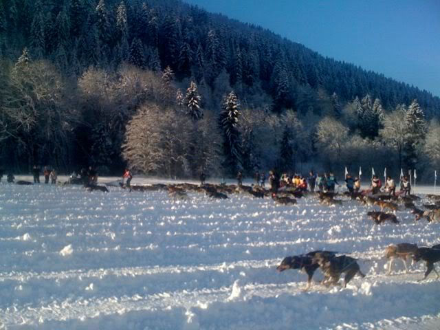 avoriaz12.jpg