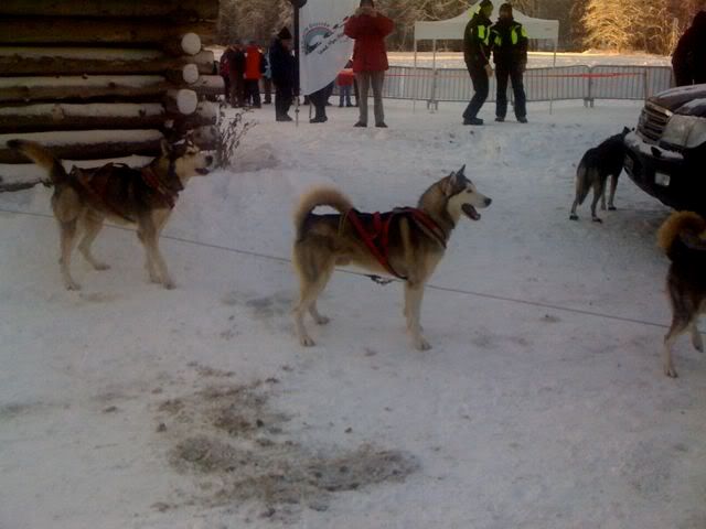 avoriaz3.jpg