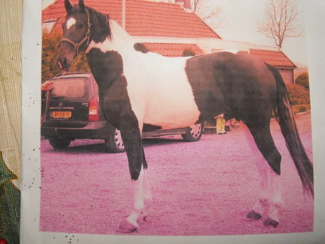 Afbeelding