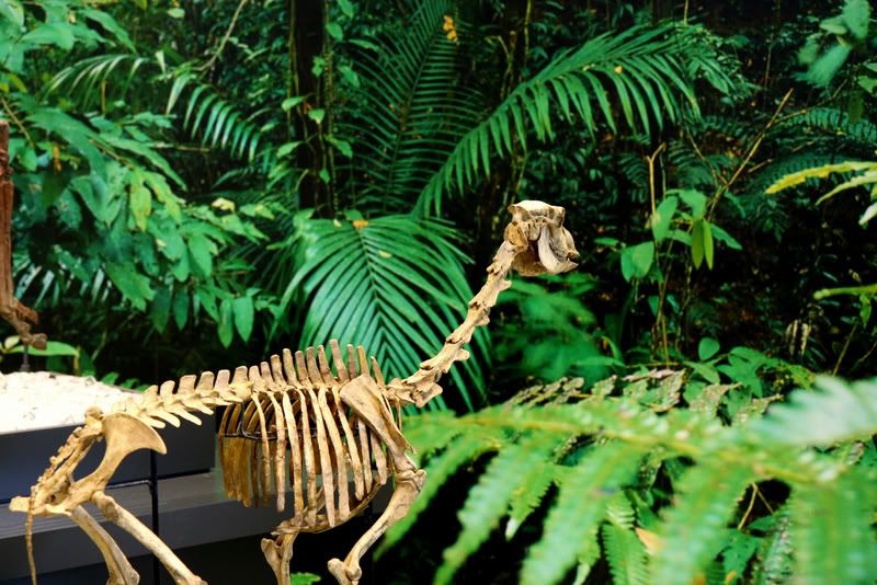 IMAGE: http://i28.photobucket.com/albums/c205/telkinvaga/Gallery/DPP_0094.jpg