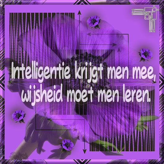 Intelligentie.jpg picture by 00judith00