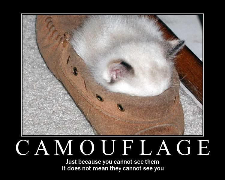 Camoflage.jpg