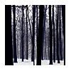 Image hosting by Photobucket
