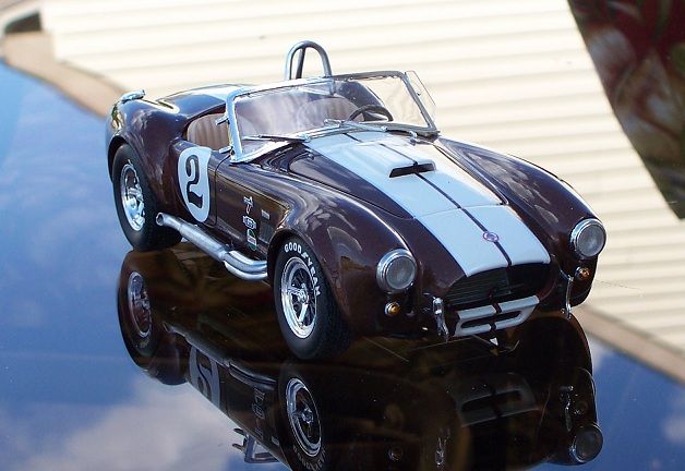 browncobra4_zps361c855d.jpg