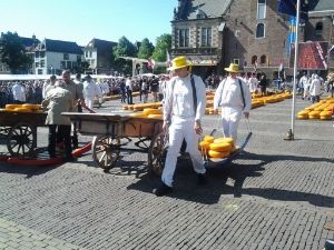 06 JUNIO: ALKMAAR Y GIETHOORN - HOLANDA con PERRO (Junio 2014) (3)