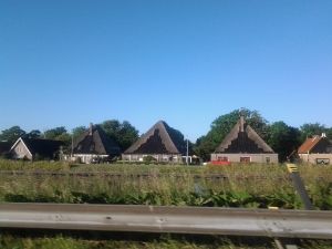 04 JUNIO: DE GANTE A SINT MAARTENSZEE - HOLANDA con PERRO (Junio 2014) (9)