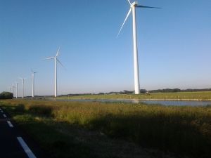 04 JUNIO: DE GANTE A SINT MAARTENSZEE - HOLANDA con PERRO (Junio 2014) (8)