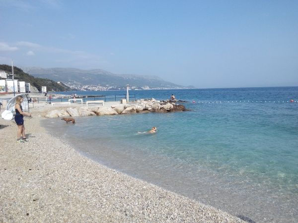A CROACIA EN COCHE CON PERRO (JUNIO 2016) - Blogs de Croacia - 17 JUNIO 2016: SPLIT (9)
