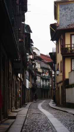 27 FEB: Guimaraes-Madrid - GALICIA con PERRO (Feb-2014) (2)