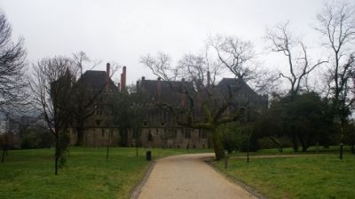 27 FEB: Guimaraes-Madrid - GALICIA con PERRO (Feb-2014) (5)