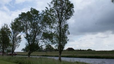04 JUNIO: DE GANTE A SINT MAARTENSZEE - HOLANDA con PERRO (Junio 2014) (7)