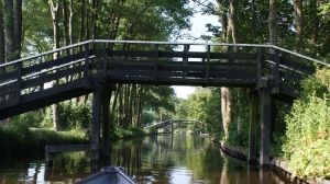 06 JUNIO: ALKMAAR Y GIETHOORN - HOLANDA con PERRO (Junio 2014) (16)