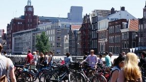 08 JUNIO: AMSTERDAM - HOLANDA con PERRO (Junio 2014) (4)
