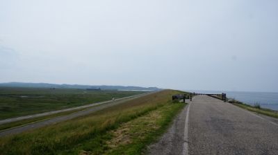 09 JUNIO: ALREDEDORES DE UTRECHT Y DE SINT MAARTENSZEE - HOLANDA con PERRO (Junio 2014) (4)