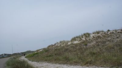 09 JUNIO: ALREDEDORES DE UTRECHT Y DE SINT MAARTENSZEE - HOLANDA con PERRO (Junio 2014) (6)
