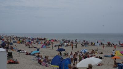 09 JUNIO: ALREDEDORES DE UTRECHT Y DE SINT MAARTENSZEE - HOLANDA con PERRO (Junio 2014) (7)