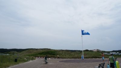09 JUNIO: ALREDEDORES DE UTRECHT Y DE SINT MAARTENSZEE - HOLANDA con PERRO (Junio 2014) (8)