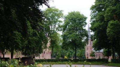 09 JUNIO: ALREDEDORES DE UTRECHT Y DE SINT MAARTENSZEE - HOLANDA con PERRO (Junio 2014) (11)