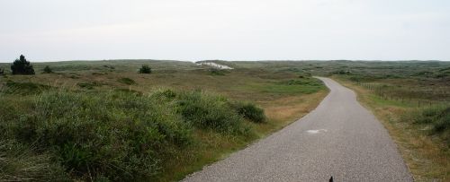 09 JUNIO: ALREDEDORES DE UTRECHT Y DE SINT MAARTENSZEE - HOLANDA con PERRO (Junio 2014) (13)