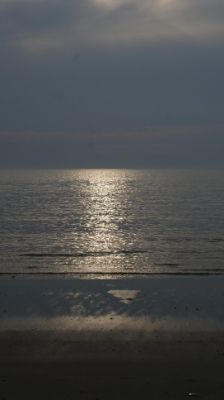 09 JUNIO: ALREDEDORES DE UTRECHT Y DE SINT MAARTENSZEE - HOLANDA con PERRO (Junio 2014) (16)